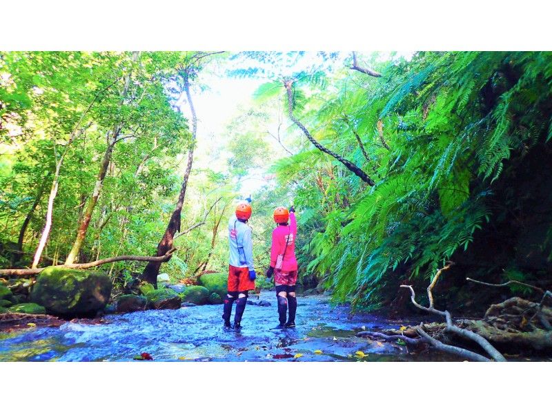 [Iriomote Island Activity]half-day Taketomijima canyoning or waterfall trekking & choose option(With lunch)の紹介画像