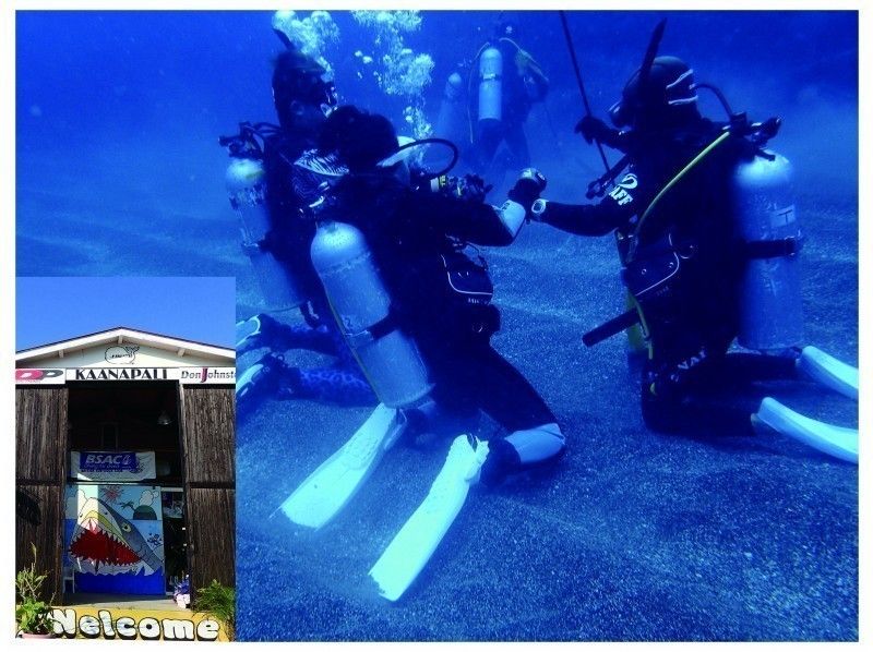[德岛·海洋镇]潜水执照取得课程（3天，即使不连续）の紹介画像