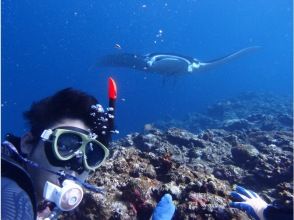 【沖縄・石垣島市街地発】1日体験ダイビング＆シュノーケリング