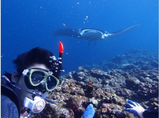 【沖縄・石垣島市街地発】1日体験ダイビング＆シュノーケリングの画像