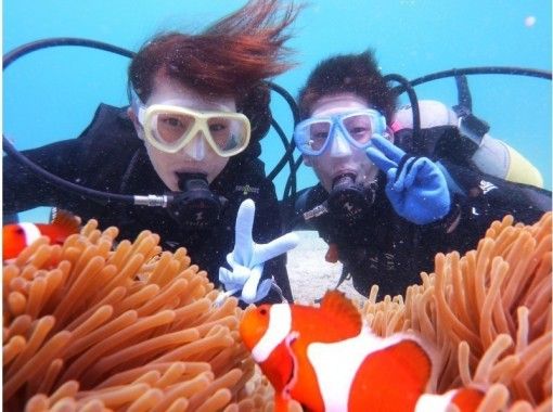 [沖繩恩納]魚的觀察體驗潛水の画像