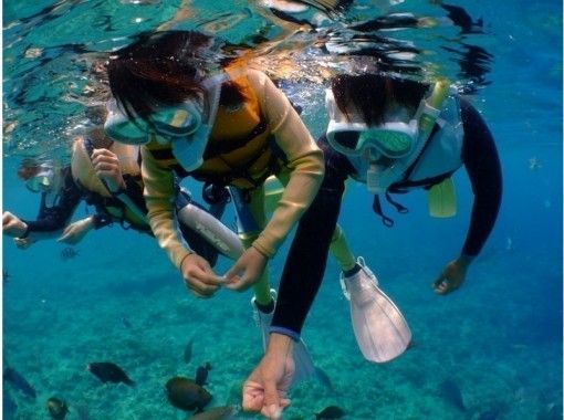 【沖縄・青の洞窟】ファミリー貸切シュノーケル★五つ星レビュー多数店★写真・動画をその場でプレゼント♪の画像