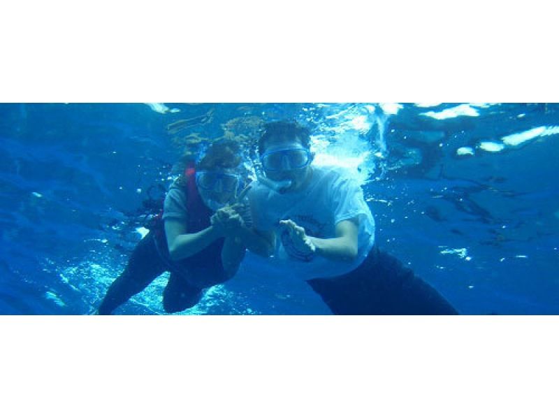【種子島・透明度を実感!】シュノーケルツアー