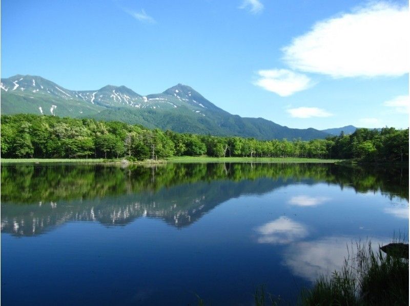 [北海道知床] 6至10人的有利旅遊“知床五湖指南步行”期5月10日至7月31日の紹介画像