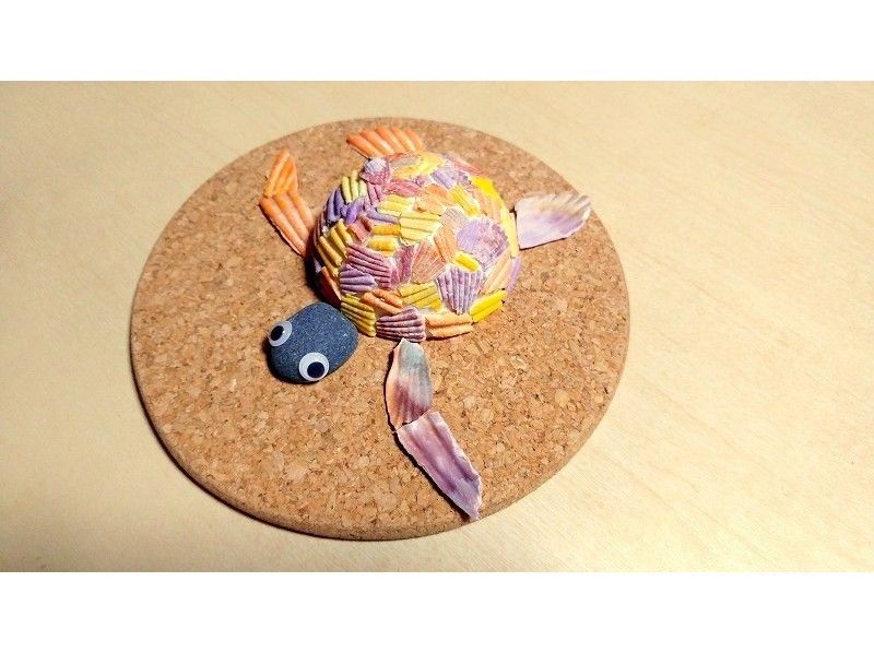 ヒオウギ貝のカラフルカメ工作