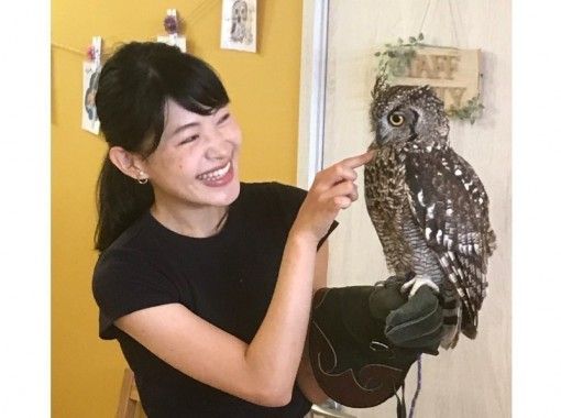 Owl Cafe Calling Happiness Country Owl