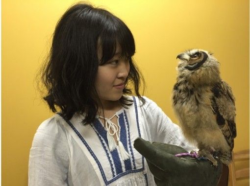 [Wakayama /Iwade City] Experience the interaction at the Owl Cafe! One Drink & Feeding Experience Set Plan (1 hour)の画像