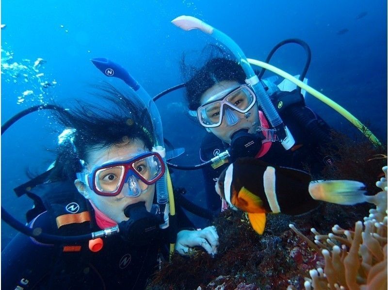 【東京・伊豆大島】水中写真付き!体験ダイビング♪