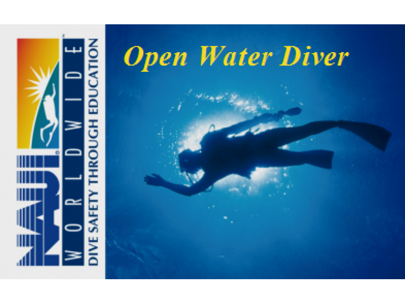 [One set charter special price for a limited time] Diver introductory course to learn carefully and surelyの紹介画像