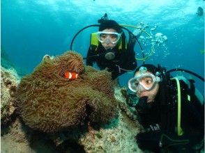 【真正的2船潛水】“藍色洞穴＆Anemonefish”體驗潛水！包括餵食經驗！ ！