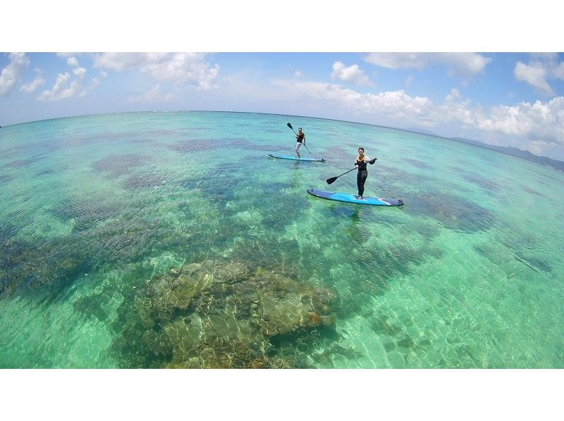 【沖縄・石垣島】石垣島の美しい海を満喫!サンゴ礁の海をスイスイ漕ぐなら!SUPクルージングコース