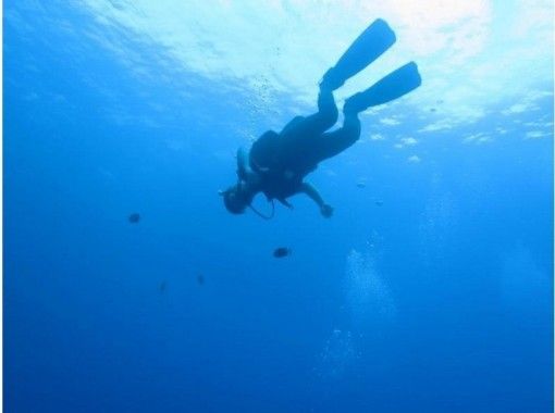 [北海道·Shakotan Mikuni]開放水域潛水員課程[深潛執照培訓]★☆溫水淋浴間完成の画像