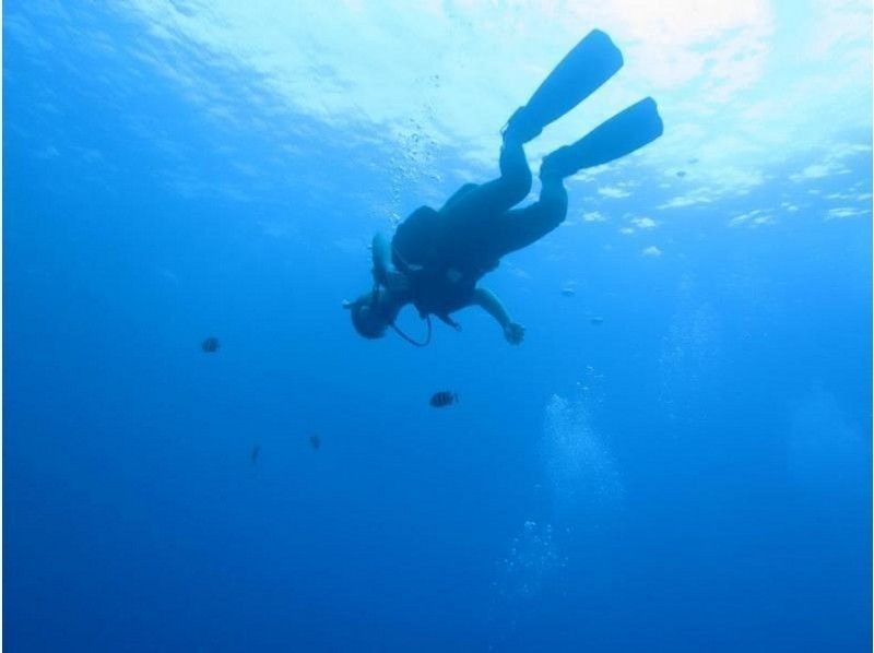 【北海道・積丹美国】オープンウォーターダイバーコース【ダイビングライセンス講習】★☆温水シャワー完備