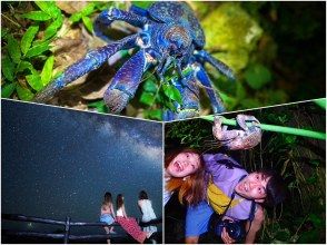 [Ishigaki Island/Night] Starry sky & jungle night tour★Natural planetarium x rare tropical creatures★Same-day application OK [Equipment rental free] Spring sale underwayの画像