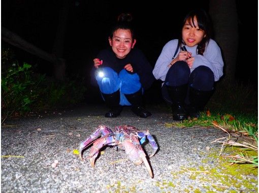 【沖縄・石垣島】【夜】天然のプラネタリウム！星空＆亜熱帯ジャングルナイトツアーの画像