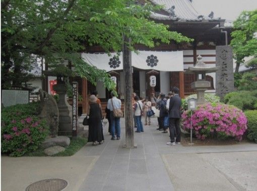 [Nagano / Nagano City] Sightseeing guide tour! Visiting temples and shrines related to Zenkojiの画像