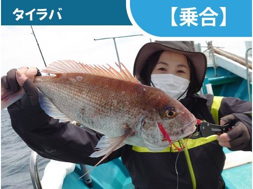 [วาคายามะ/เมืองสุซามิ [แบ่งปัน]] คุณสามารถเล็งปลาทรายแดงและปลาเก๋าได้! ไทราบาの画像