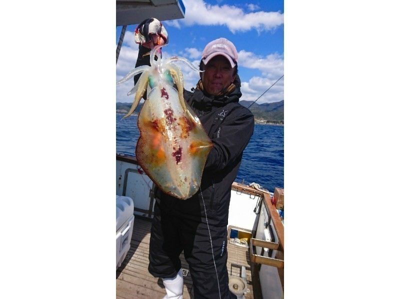 【和歌山・すさみ町】アオリイカを釣り上げてみませんか！？アオリイカ：ティップラン（５時間）