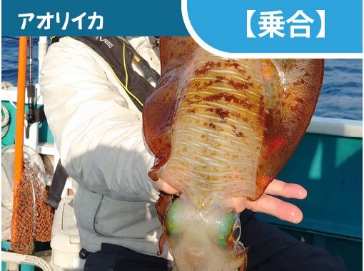 [Wakayama/Susami Town [Jitai]] Why not try fishing for bigfin squid! ? Bigfin squid: Tip run (7 hours)の画像