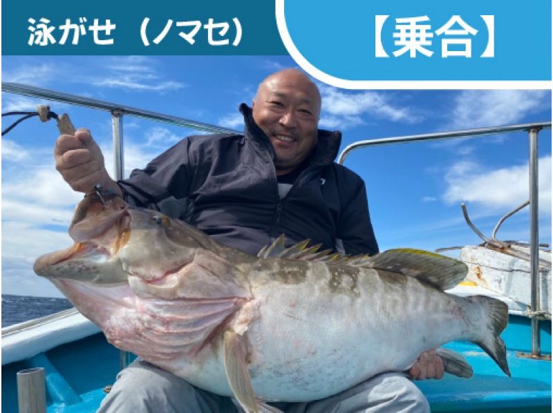 和歌山・すさみ町［乗合］】大物を狙おう！泳がせ釣り（ノマセ釣り） | アクティビティジャパン