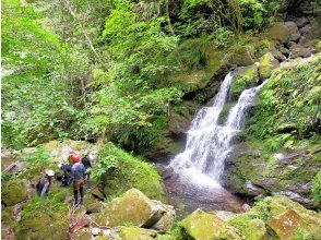 【東京・八丈島】５月～１０月　沢遊び　大滝・ポットホール