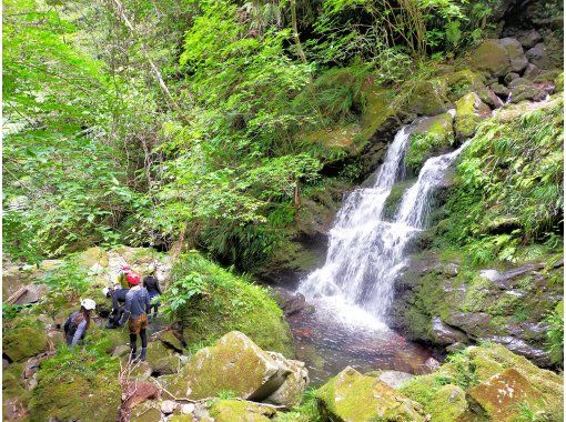 【東京・八丈島】５月～１０月　沢遊び　大滝・ポットホールの画像