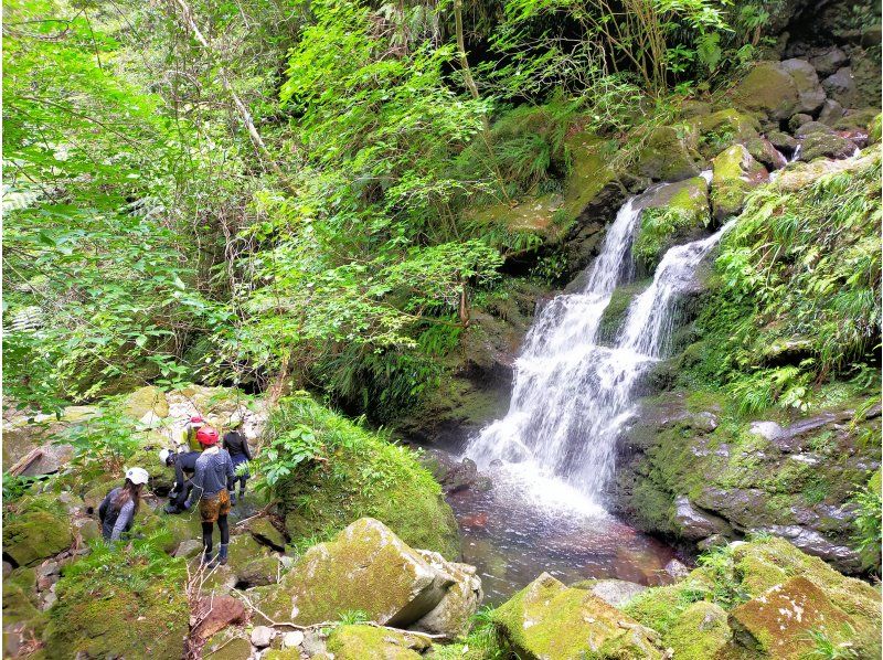 【北海道・SUP体験】透明度の高い支笏湖の湖面をクルージング！SUP体験（半日コース）の画像