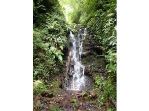 【東京・八丈島】神の三段　お水取り