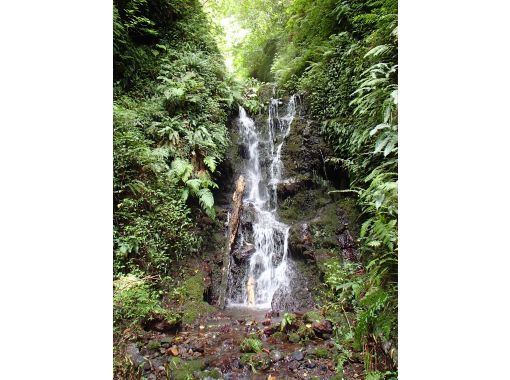 【東京・八丈島】神の三段　お水取りの画像