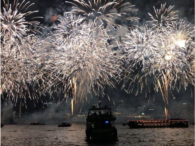 「2018年5月26日(土)お台場花火大会」お台場花火観覧クルーズ【北品川乗船】【12203】 の紹介画像