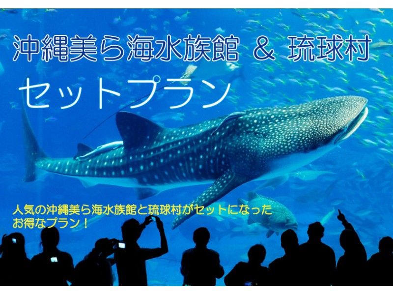 【沖縄・恩納村】美ら海水族館+琉球村入場券セットプラン