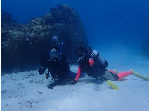 【石垣島·潛水】與海上保安隊導遊（2次潛水）一起拍攝的潛水體驗の画像
