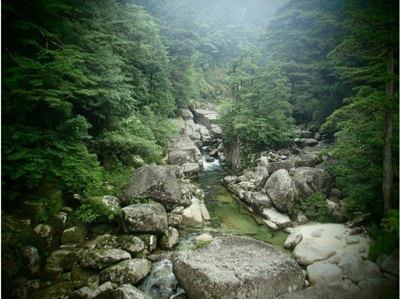 【鹿児島・屋久島】世界遺産の森で朝ごはんを!パン・ご飯どちらか選べる朝食