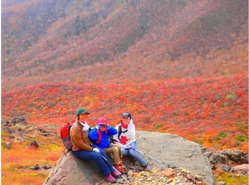 [โทจิกิ・ Nasu: ทำอาหารด้วยความช่วยเหลือของภูเขาไฟที่ปรุง ~ แผ่นดินの画像