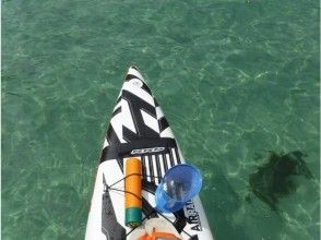 伊豆SUPクルージング