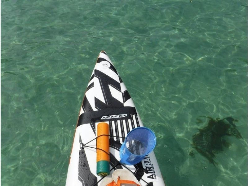 伊豆SUPクルージング