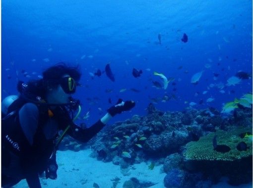 【冲绳县·总公司镇】第一个人是安全的！在主岛北部的经验深潜！の画像