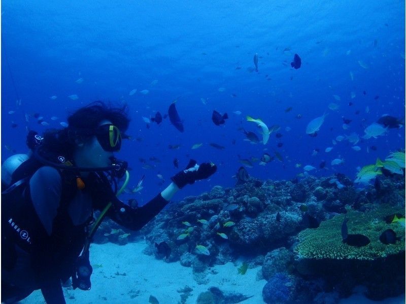 [Okinawa Prefecture · Honbu-cho] First-time people are safe too! Experience diving in northern part of main island!の紹介画像