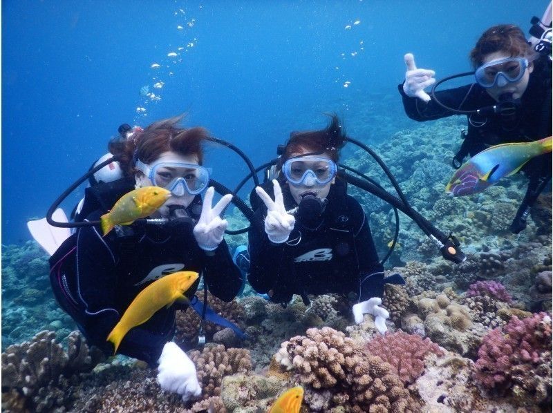 【沖縄県・本部町】初めての方も安心！水納島でボート体験ダイビング！