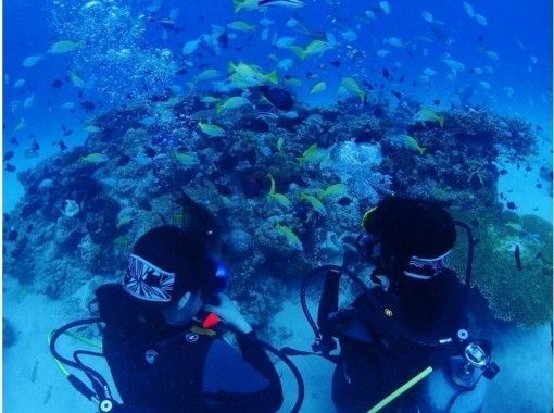 [Okinawa Prefecture · Honbu-cho] First-time people are safe too! Experience diving on Ie!の画像
