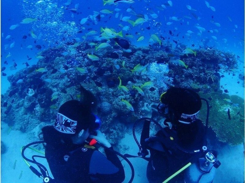 【沖縄県・本部町】初めての方も安心！伊江島で体験ダイビング！の紹介画像