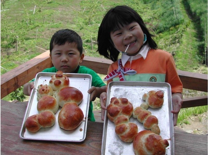 [阿蘇市熊本縣]自製石窯麵包-從成型到烘烤參與4歲就可以了！の紹介画像