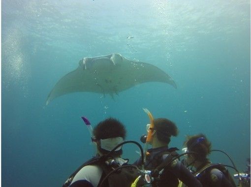 [Okinawa / Ishigaki Island] Going to see Manta Ray-Experience diving half-day course- (AM / PM)の画像