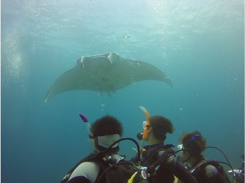 [Okinawa / Ishigaki Island] Going to see Manta Ray-Experience diving half-day course- (AM / PM)の紹介画像