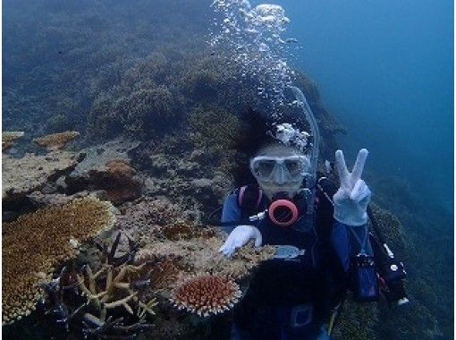 [沖繩石垣]像龍宮城！在Panari島粉絲潛水課程の画像