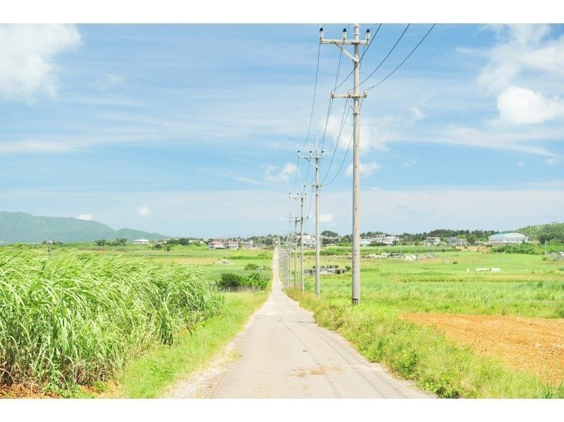 【3島めぐり】西表・由布・小浜3島めぐり（昼食付）‹R-3›
