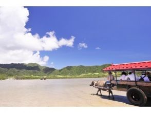 【西表島の大自然を半日で】早回りde西表仲間川･由布コース＜約6時間／昼食付／N-0＞