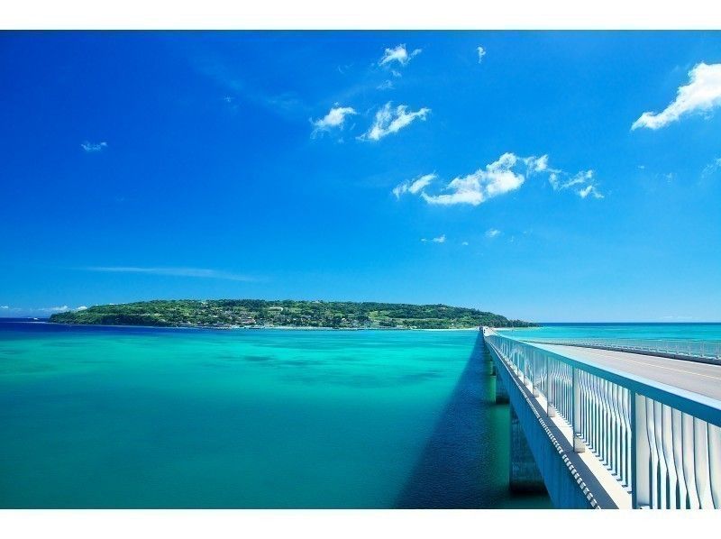 【沖縄・那覇発着】美ら島終日観光バスツアー(Aコース)★古宇利島→美ら海水族館→御菓子御殿→万座毛→