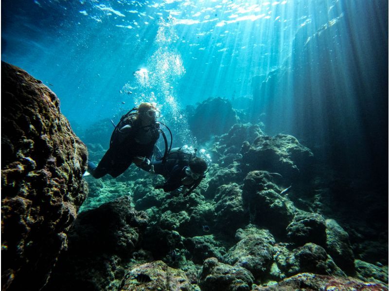 【 冲绳 ·主岛】完整的私人系统！体验深潜之旅の紹介画像
