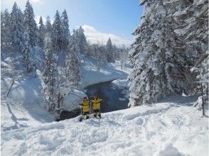【北海道・大雪山】絶景スノーシュー★旭岳・天人峡・カモ沼・ワサビ沼コースの画像
